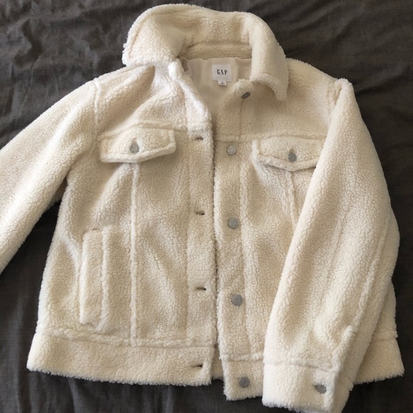 teddy bear jacket gap